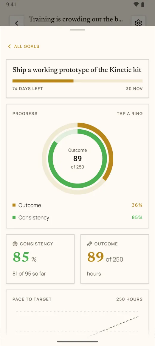 Compass in the app, showing progress on a goal: 85% consistent and 89 of 250 hours logged